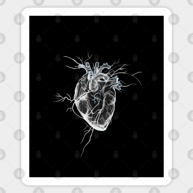 Anatomical Heart 15 Sticker by Collagedream